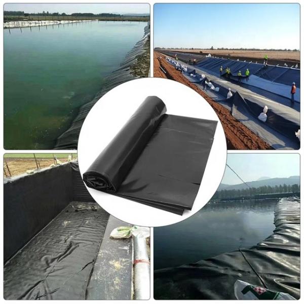 Protección UV Hoja de geomembrana 0,5 mm 0,75 mm 1 mm Liner de estanque en negro blanco verde azul