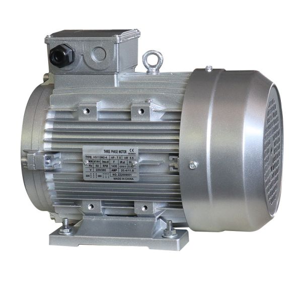 7.5hp/5.5kw Three Phase Ac Induction Asynchronous Hollow Shaft Pressure Washer Machine Motor 