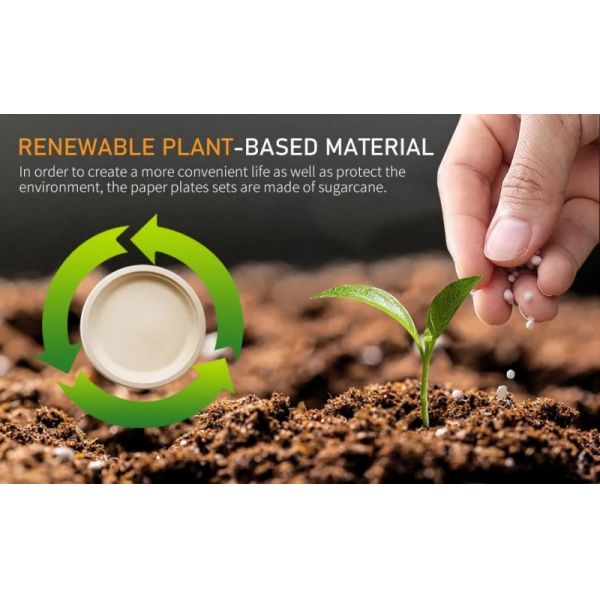 Green 100% Biodegradable Compostable Party Tableware Eco Friendly Disposable Plates