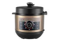 Autocuiseur électrique en aluminium du revêtement 1000W 240V 5L