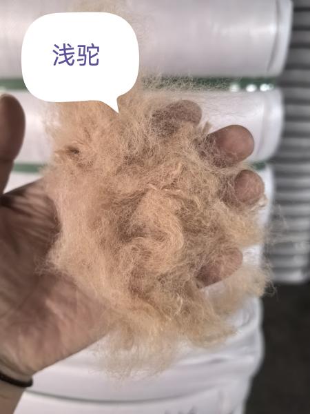 Fibra de grapa de poliéster reciclado 3D resistente a los rayos UV de 51 mm