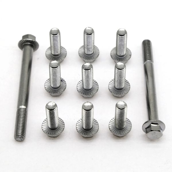 Flange bolt customized