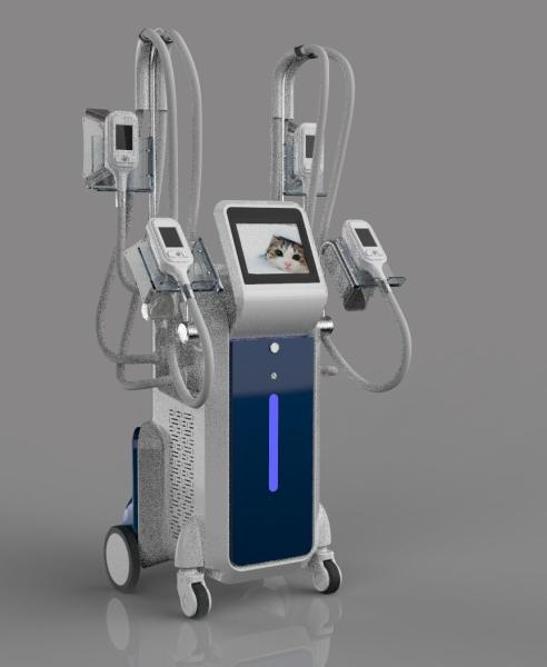 4 handles Coolsculpting body slimming cryolipolysis fat freeze slimming machine with RF cavitation handles