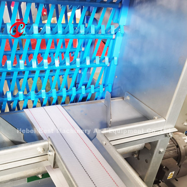 Автоматическое оборудование для птицеводческих ферм 4-го уровня. Дизайн куриной клетки 2.40м* 2.60м* 2.0м Роза