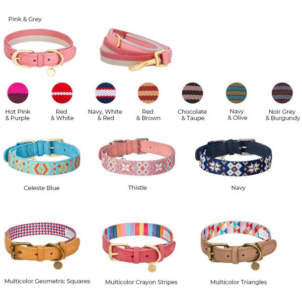 Polyester Webbing Leather Pet Collars Matched Leashes Available