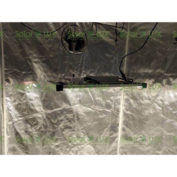 Садоводство освещая приведенную доску 240Ватц Кванта растет свет