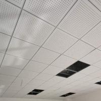 Panneau de plafond en plâtre de plâtre en plastique plastique pour la décoration, panneau de plafond en plâtre