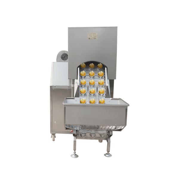 Gas Low Price 12 In 1 Food Fruit Onion Potatoes Peeler Slicer System