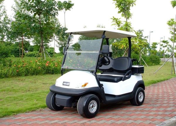 Do carro bonde do golfe de Excar 48V chassi Trojan Pearlized do alumínio da bateria