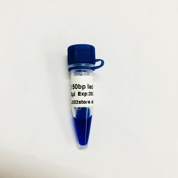50bp DNA Gel Electrophoresis Marker Ladder GDSBio