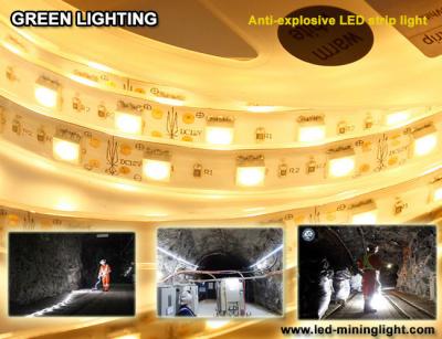 A tira 1500 flexível do diodo emissor de luz do anti lum explsoive 60pcs impermeável conduziu cada medidor