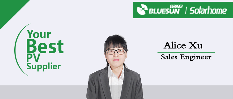 Bluesun High Quality Panel Solar 250w Poly 270w 280w Solar Panel Price for Germany Market