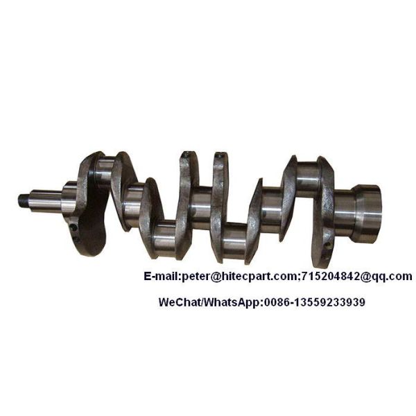 OEM du cylindre 4Because2 du vilebrequin 4 de pièces de moteur de fer de Casted