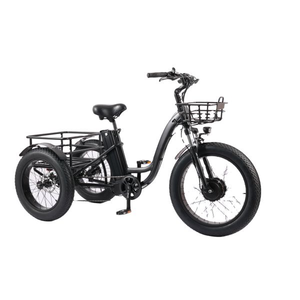 Electric Delivery Cargo Tricycle E-bike 3 Wheel Suspension Disc Brake Aluminum Fork