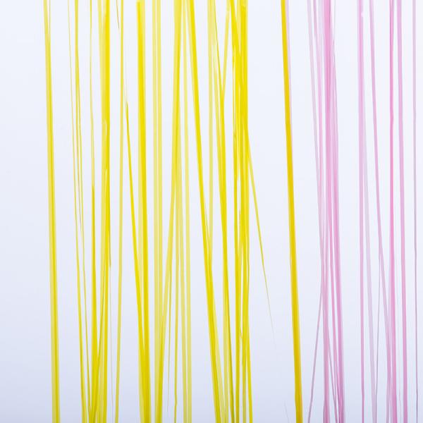 Macaron Colorful Fringe Backdrop Yellow Blue Pink Streamer Curtain