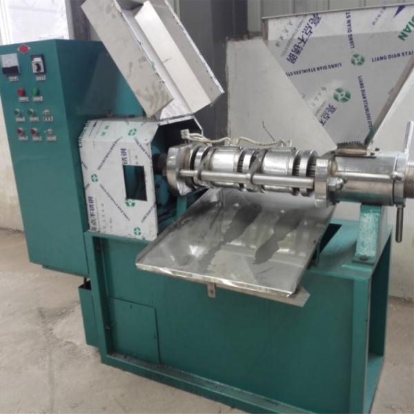 venda quente na máquina fria da imprensa de óleo de África do Sul para o preço pequeno do expulsor do óleo da venda na máquina da imprensa de óleo do parafuso de Paquistão