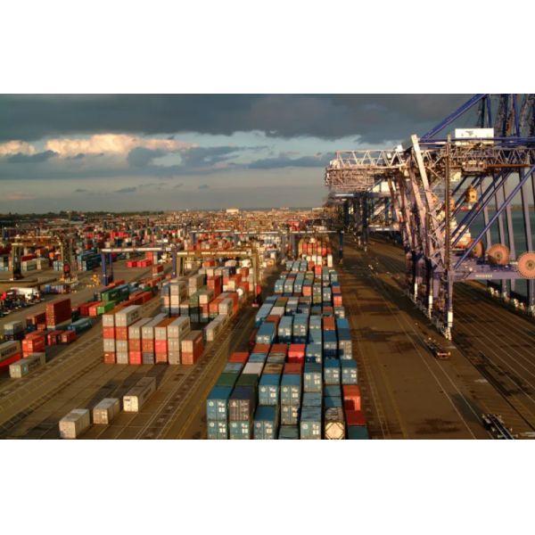 Ocean Freight Forwarder China Freight Transport Qingdao Ningbo To Worldwide