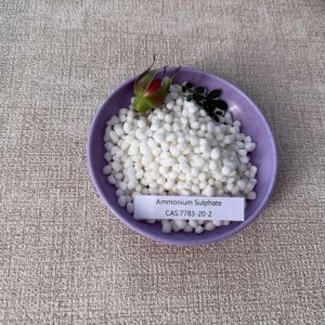 Effective Water Treatment Industrial Grade Ammonium Sulfate Fertilizer 21
