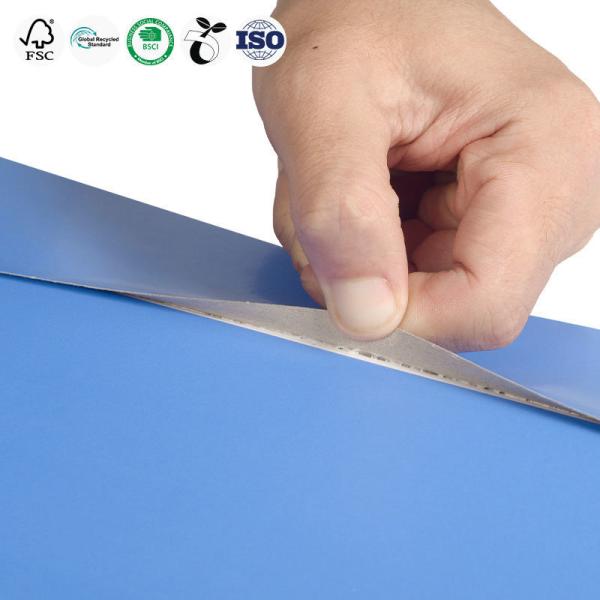 Biodegradable Cardboard Envelope Mailer Light Blue Rigid Cardboard Mailers Customized