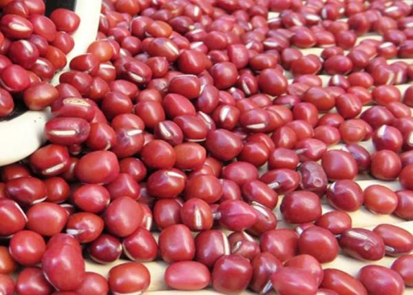 Edema Reduction Main Agricultural Products Vigna Umbellata Red Adzuki Beans