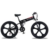 Bicicleta elétrica da bateria de lítio da liga do magnésio, bicicleta elétrica de 48V 500W
