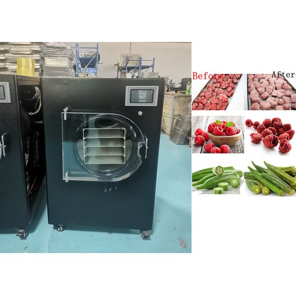 6kg/Lot Home ミニ冷凍乾燥機 LCDタッチスクリーン