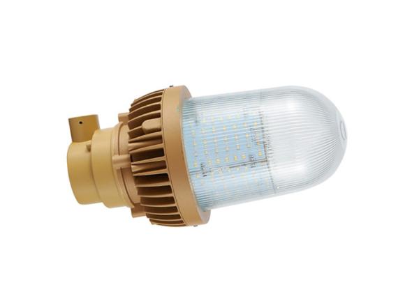 Gas Station 50W Explosion Proof Fluorescent Lighting Floodlight High Light Efficiency