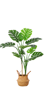 Artificial Bird of Paradise Plants 6 Ft Fake Tropical Palm Tree with Trunks in Pot and Woven Seagrass Belly Basket