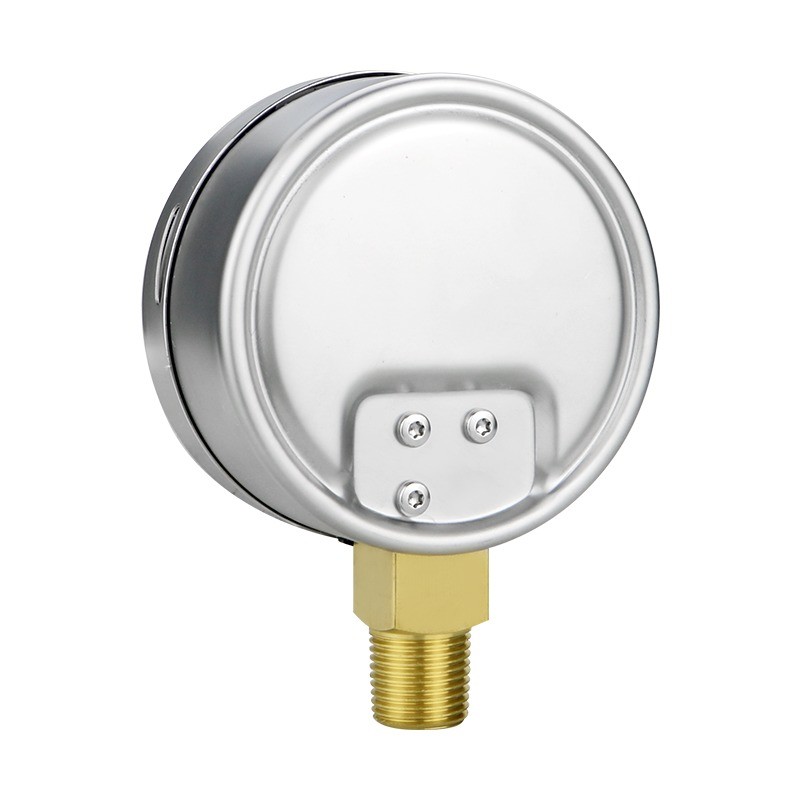 100mm Radial Connected Manometer for Precise Pressure Monitoring in Industrial Settings