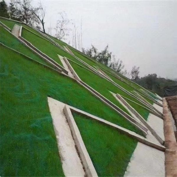 Long Life 3D Composite Drainage Geonet for Landfill Leachate Collection and Environmental Engineering