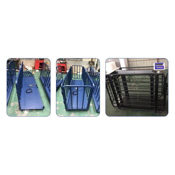 Durable Animal Weighing Scale Livestock Platform Scale For Pig Cattle Farm Use