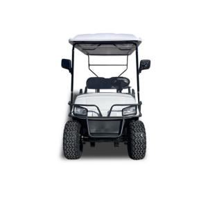 Sightseeing Car Patrol Electric Golf Cart