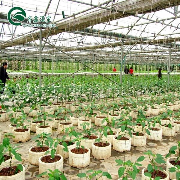 Large Glass Greenhouse Mushroom Aeroponic Tower Garden for Eco Restaurant Instruction