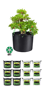 10 Gallon Potato Grow Bags, Planter Pouch Bags for Vegetables, Fruits and Flowers Flap Window, Garden Planting Bag