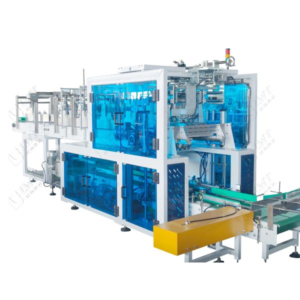Drop Falling Case Packer | Automatic Carton Packing Machine for Bottles | LWT
