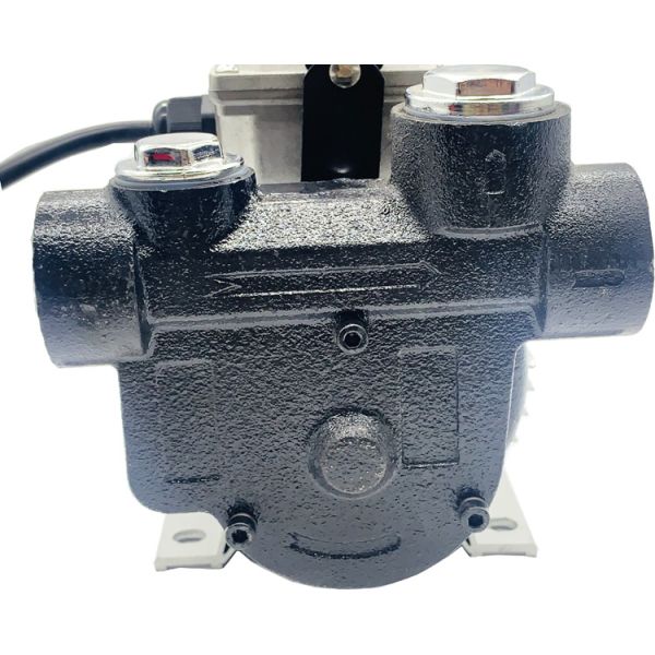 Mini Kerosene 200w Diesel Oil Pumps Drum Dispenser Electric Fuel Dc 12V