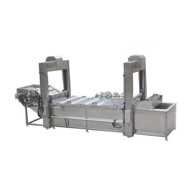 Industrial Automatic Vegetable And Fruit Blanch Potato Almond Peanut Mushroom Hazelnut Blanching Machine