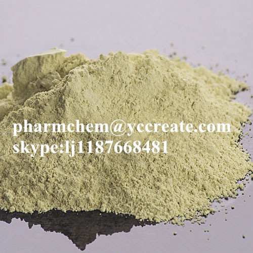Top Quality Herbal Medicine Factory Supply Damiana Extract For Male Health