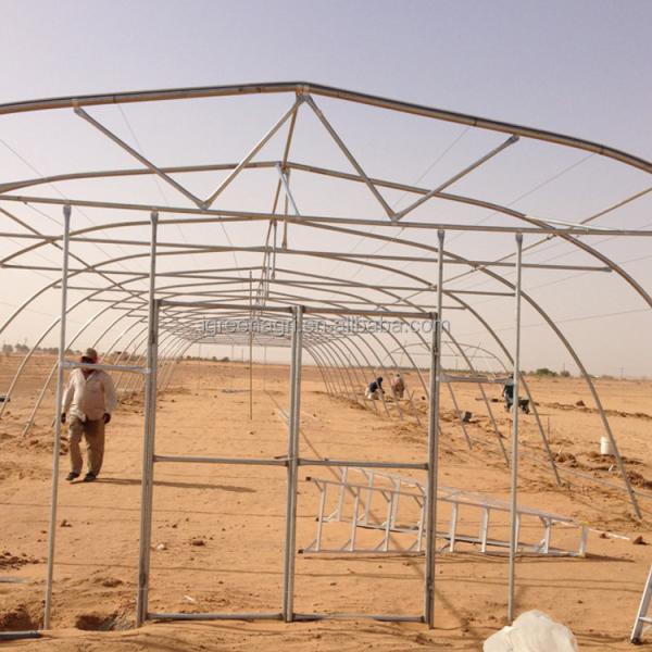 PE Cooling System Agricultural Greenhouse Flower Growing Galvanized Steel Greenhouse