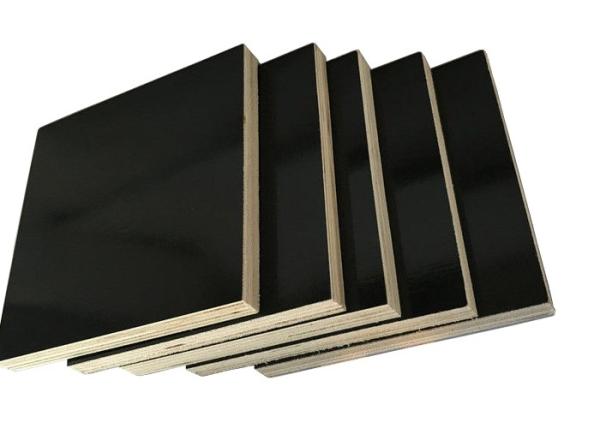 Anti Cracking Poplar Faced Plywood WBP Glue Corrosion Resistance
