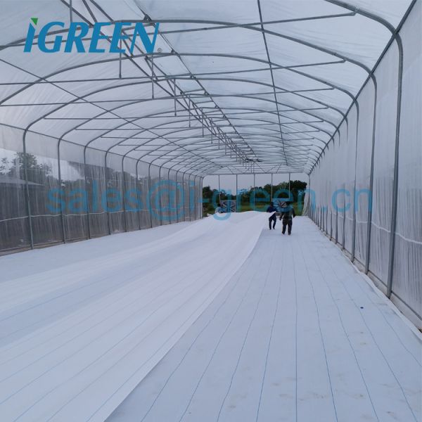 Umbrella Shape Single-Span Large Agriculture Prefab Greenhouse with Hot Dipped Galvanized Steel Frame PE Material