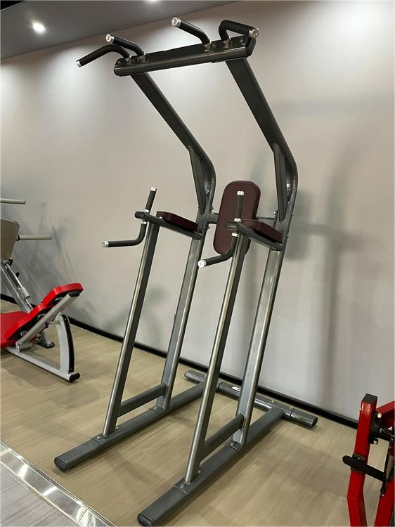 Pull Up Bar Leg Raise Chest Shoulder Workout Power Tower Dip Station Gym Equipment