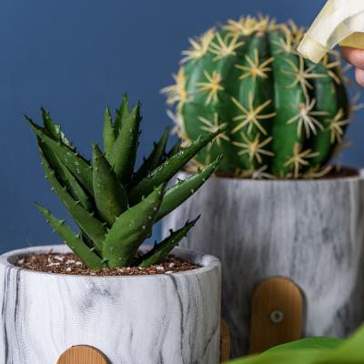 Os plantadores redondos das plantas carnudas do cimento de Mini Flowerpots Clay Flower Pots dos plantadores do potenciômetro marmoreiam plantadores Tabletop dos potenciômetros