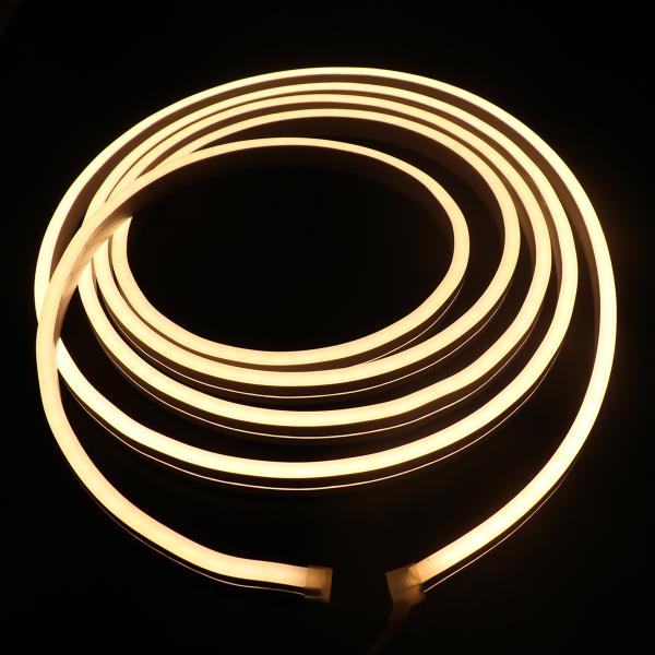 Input Voltage 12V/24V DC LED Neon Flex Waterproof IP67 Flexible LED Strip