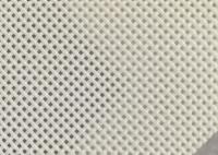 polyester Mesh Belt Square Hole For de taille de trou de 1x1mm séchant la nourriture pour poissons