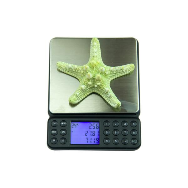 Balance numérique mini poche Balance calculateur Balance portable bijoux Balance en or avec calculatrice Balance 200gx0.01g 2kgx0.1g
