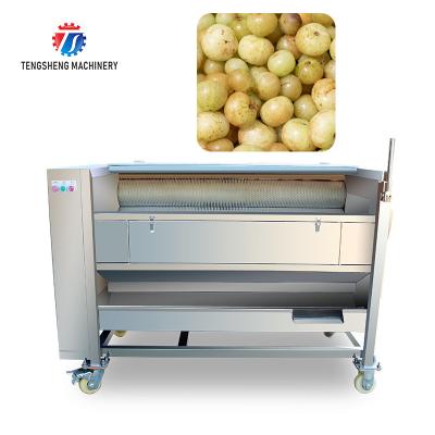 Arruela comercial da batata de Veg 1.5KW da raiz, Kiwifruit Lotus Root Potato Peeler Machine