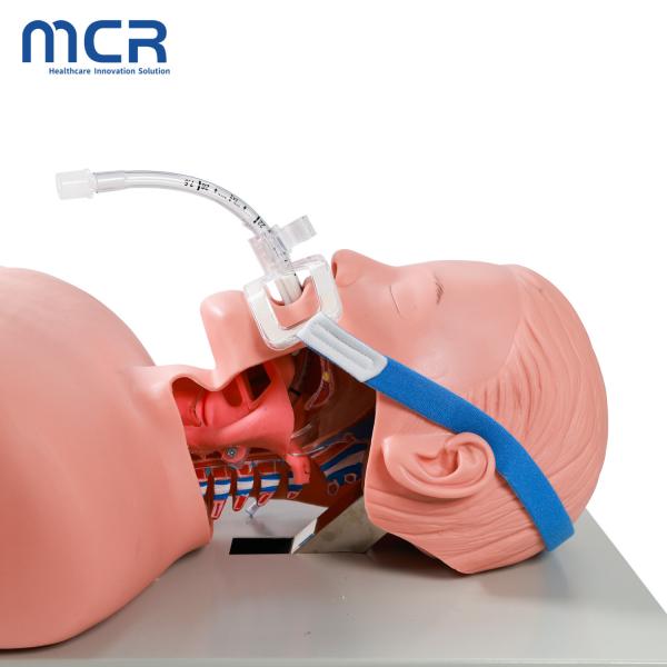 Disposable Endotracheal Tube Fittings For All Size Endotracheal Tube