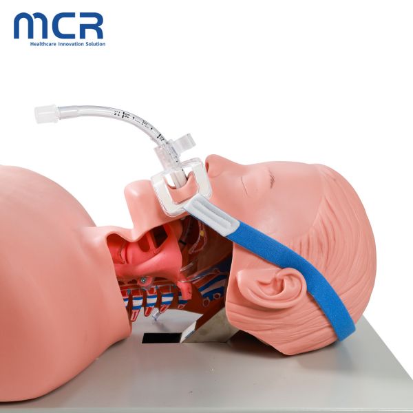 Disposable Endotracheal Tube Fittings For All Size Endotracheal Tube