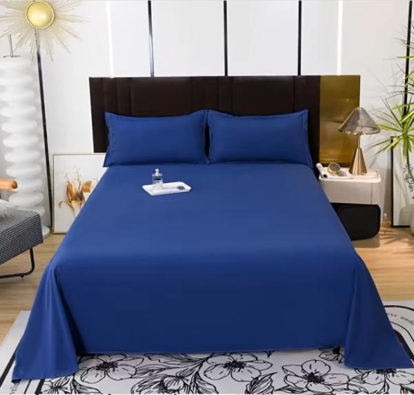 Egyptian Cotton Hypoallergenic Bedding Set All Season Plain Sheet Set with Soft Pillowcases
